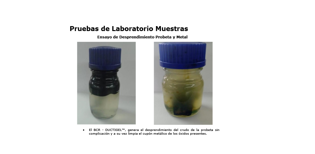 Brochure_Servicios_GIDCO_Kodiak